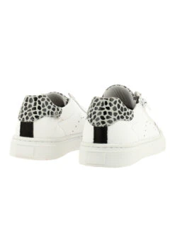 Bullboxer Sneaker Wit AOP000E5L_WHIBKB -BULLBOXER winkel image 2334