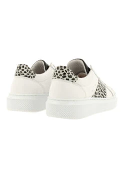 Bullboxer Sneaker Wit ALG001E5L_WANIKB -BULLBOXER winkel image 2765