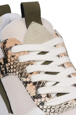 Bullboxer Sneaker Beige/ Slangenprint 099000F5S_BGWHTD -BULLBOXER winkel image 915